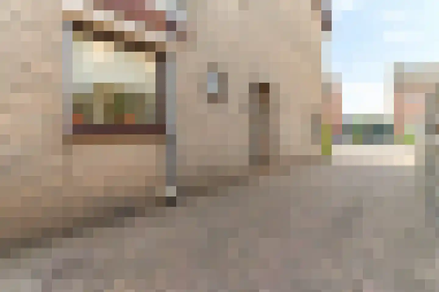 Wesemaelestraat 50 Wouw thumbnail 42