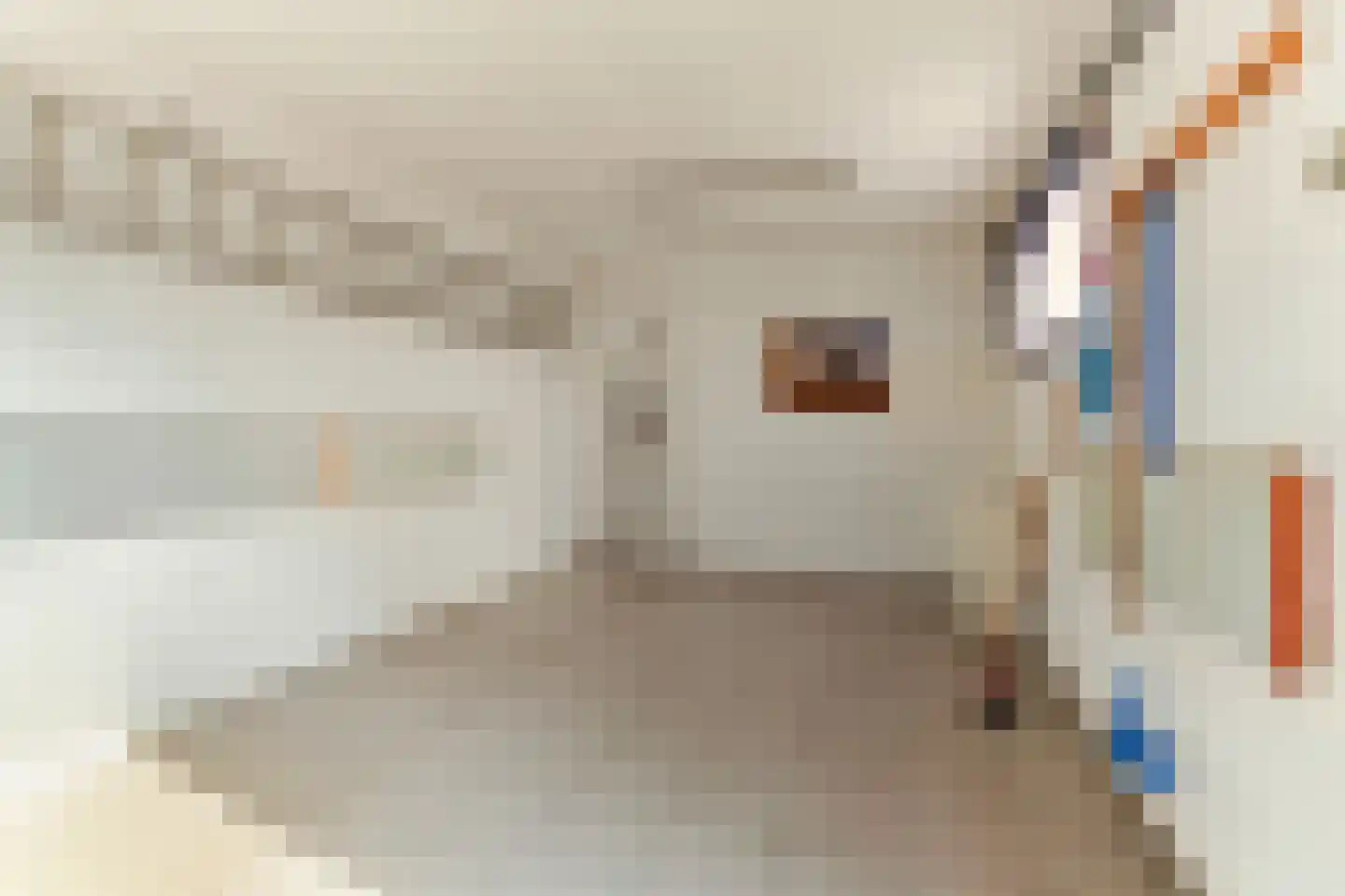 Wesemaelestraat 50 Wouw thumbnail 5