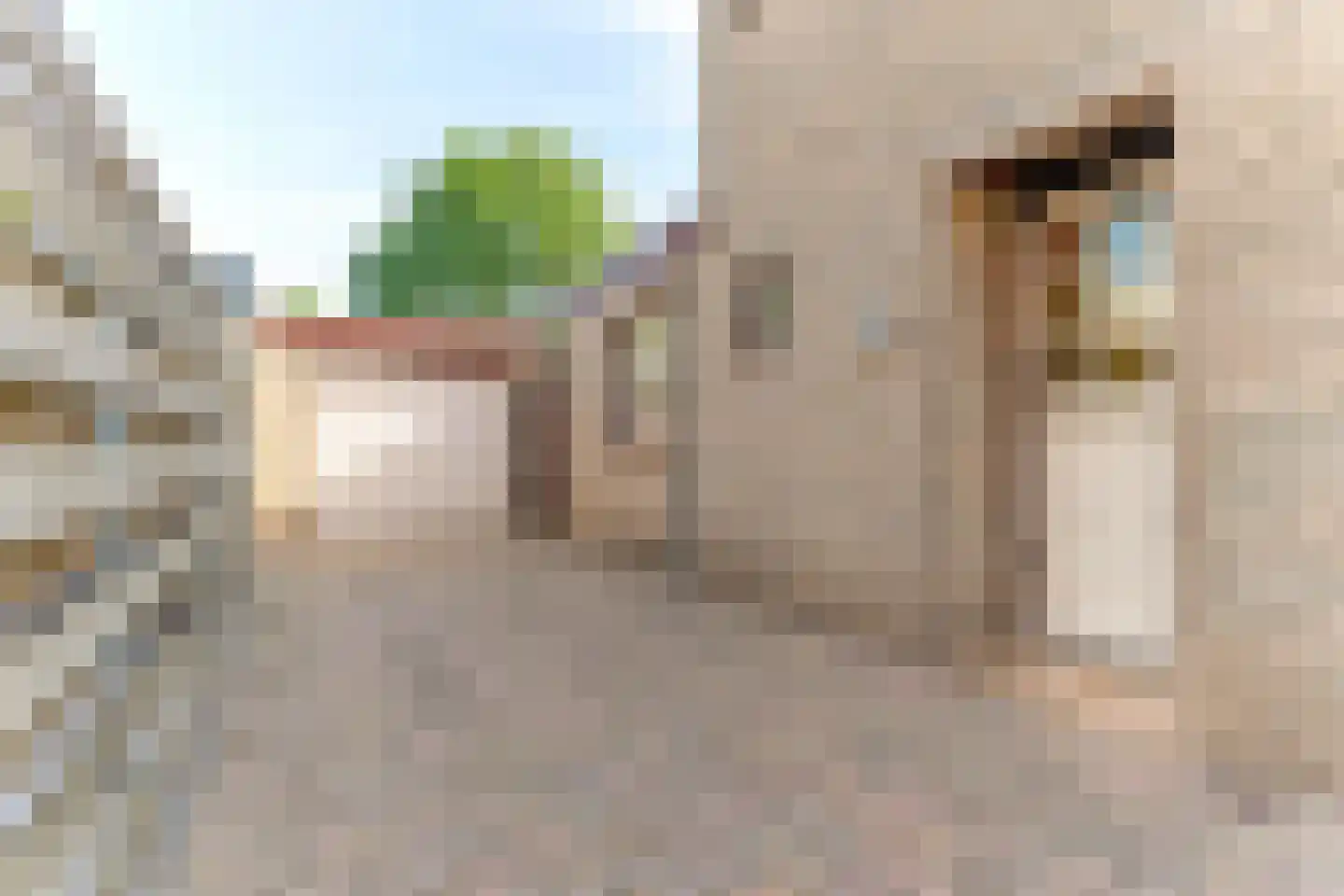 Wesemaelestraat 50 Wouw thumbnail 7