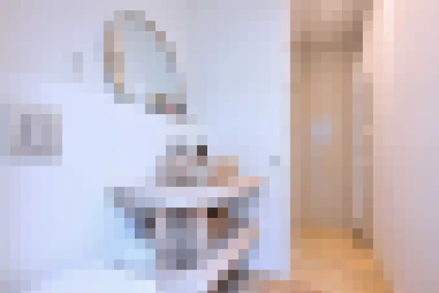 Weseperstraat 3 Deventer thumbnail 33