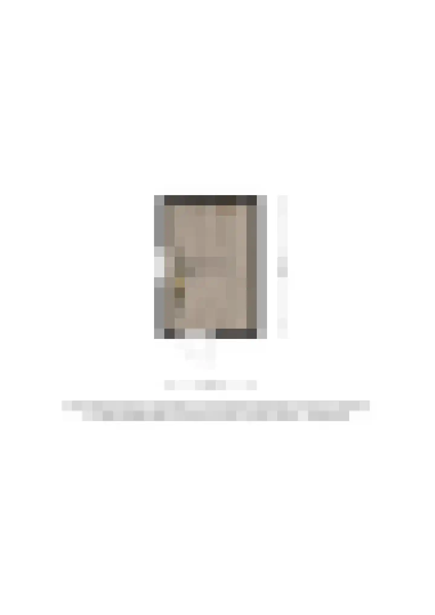 Weseperstraat 3 Deventer thumbnail 42