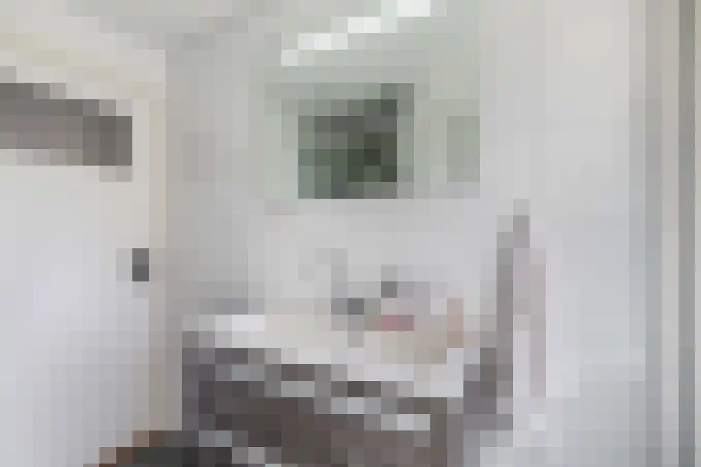 Weserhof 24 Veldhoven thumbnail 35