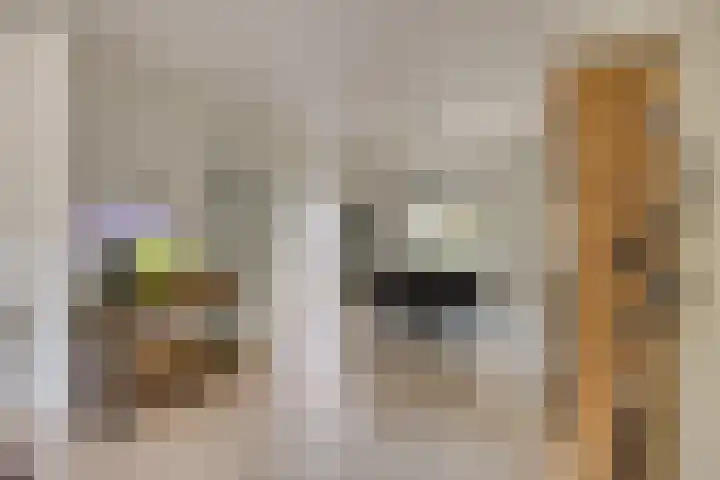 Weserlaan 13 Son en Breugel thumbnail 12