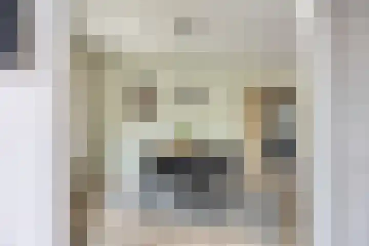 Weserlaan 13 Son en Breugel thumbnail 13