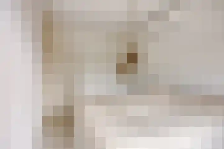 Weserlaan 13 Son en Breugel thumbnail 19