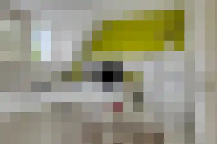 Weserlaan 13 Son en Breugel thumbnail 22