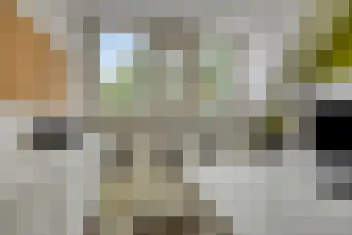 Weserlaan 13 Son en Breugel thumbnail 23