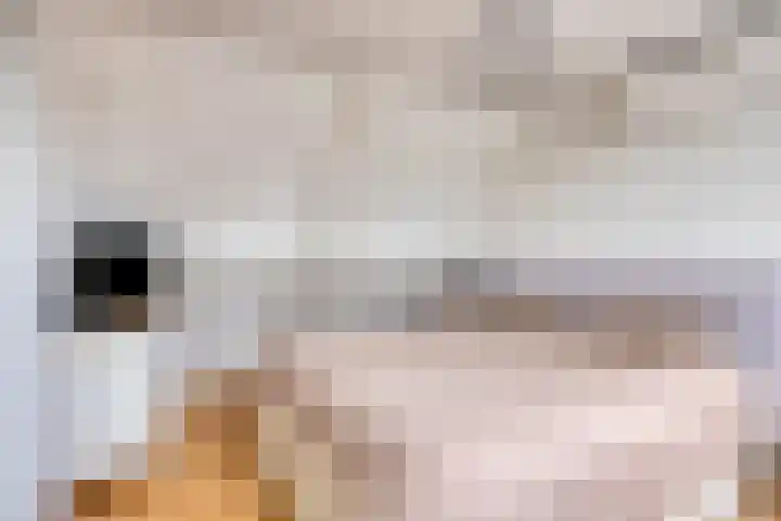 Weserlaan 13 Son en Breugel thumbnail 27