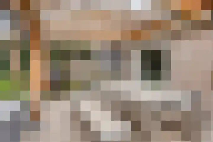 Weserlaan 13 Son en Breugel thumbnail 28