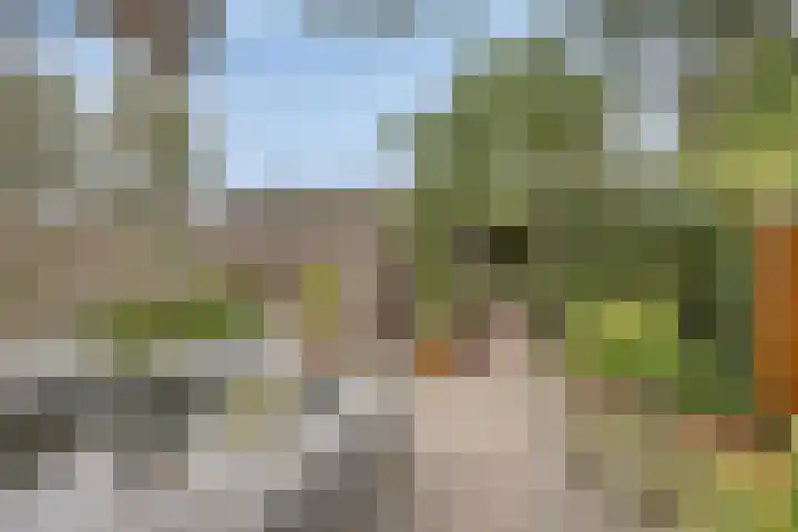 Weserlaan 13 Son en Breugel thumbnail 30
