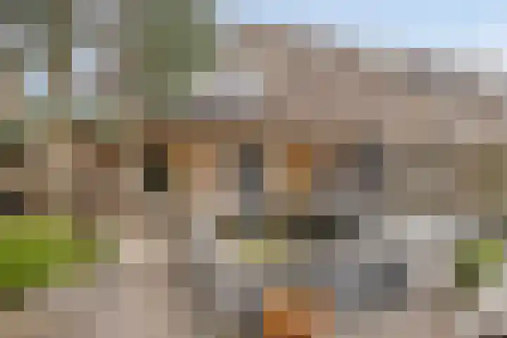 Weserlaan 13 Son en Breugel thumbnail 31