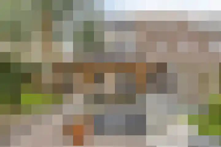 Weserlaan 13 Son en Breugel thumbnail 33