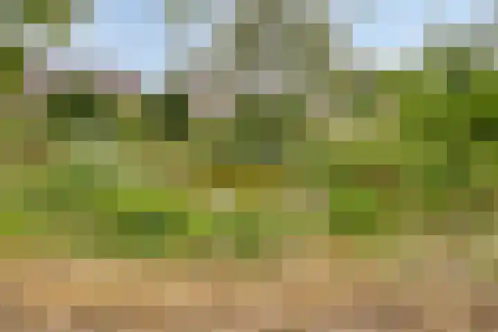 Weserlaan 13 Son en Breugel thumbnail 34