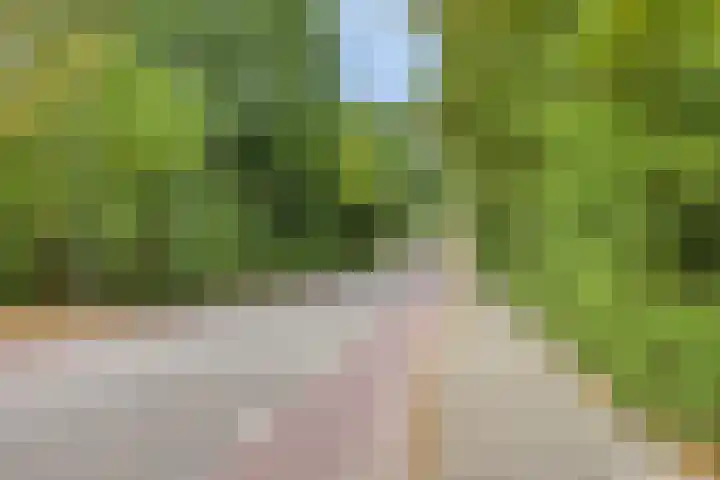 Weserlaan 13 Son en Breugel thumbnail 35