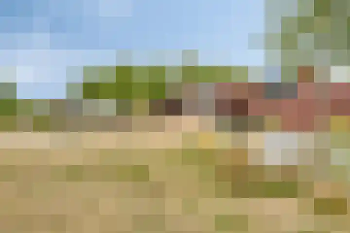 Weserlaan 13 Son en Breugel thumbnail 38