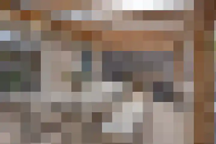 Weserlaan 13 Son en Breugel thumbnail 5
