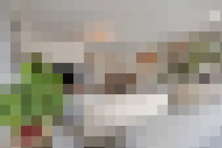 Weserlaan 31 Son en Breugel thumbnail 11