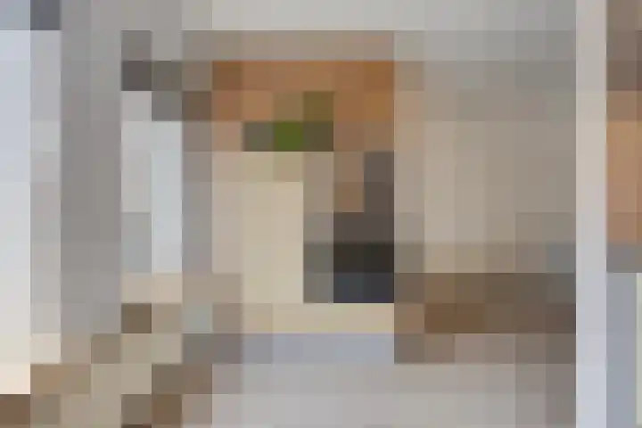 Weserlaan 31 Son en Breugel thumbnail 19