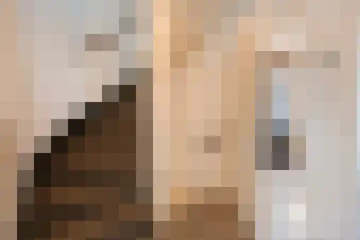 Weserlaan 31 Son en Breugel thumbnail 31