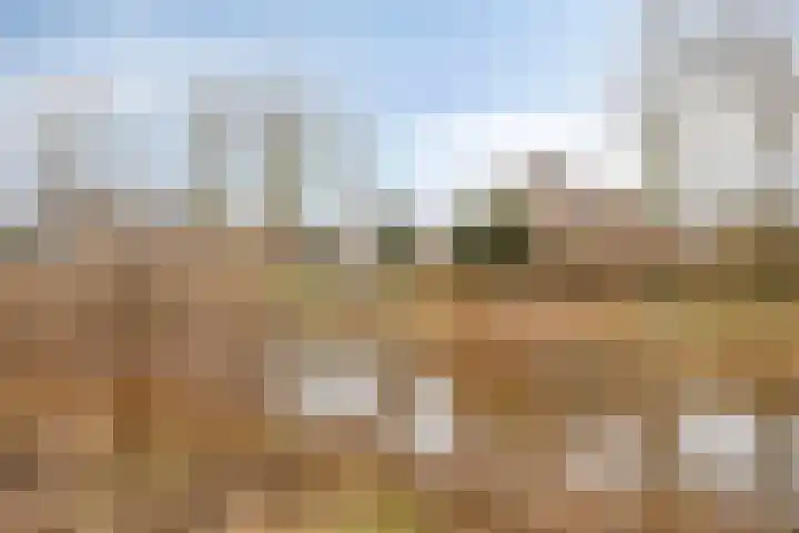 Weserlaan 31 Son en Breugel thumbnail 40