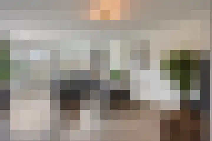 Weserlaan 31 Son en Breugel thumbnail 6