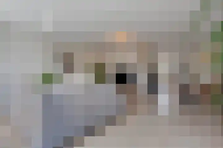 Weserlaan 31 Son en Breugel thumbnail 8