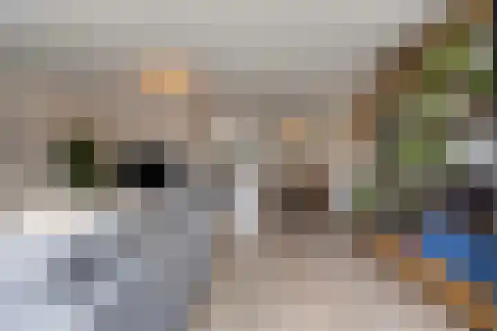 Weserlaan 31 Son en Breugel thumbnail 9