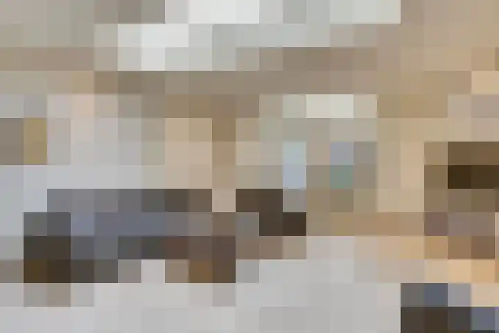 Weserlaan 56 Son en Breugel thumbnail 10