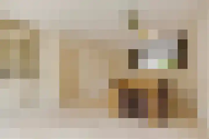 Weserlaan 56 Son en Breugel thumbnail 13