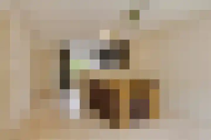 Weserlaan 56 Son en Breugel thumbnail 14