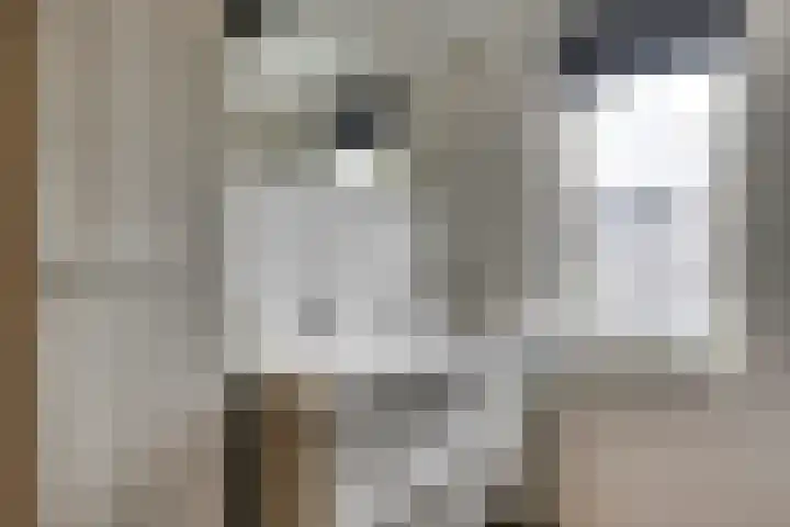 Weserlaan 56 Son en Breugel thumbnail 35