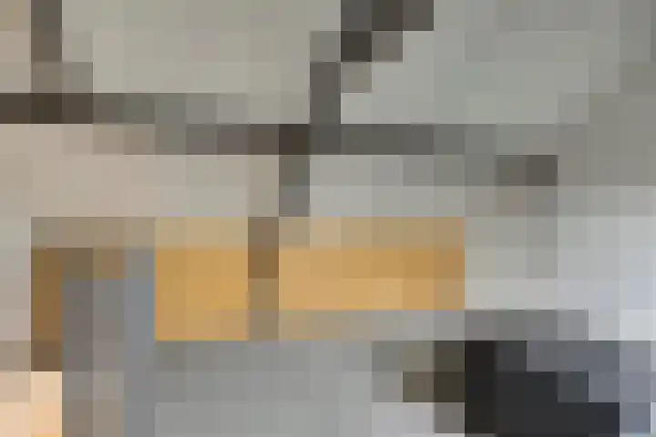 Weserlaan 56 Son en Breugel thumbnail 41