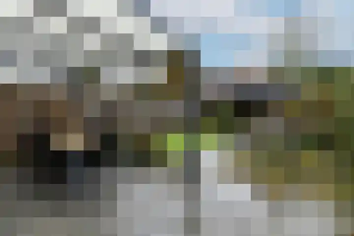 Weserlaan 56 Son en Breugel thumbnail 42