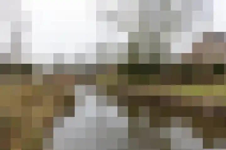 Weserlaan 56 Son en Breugel thumbnail 53