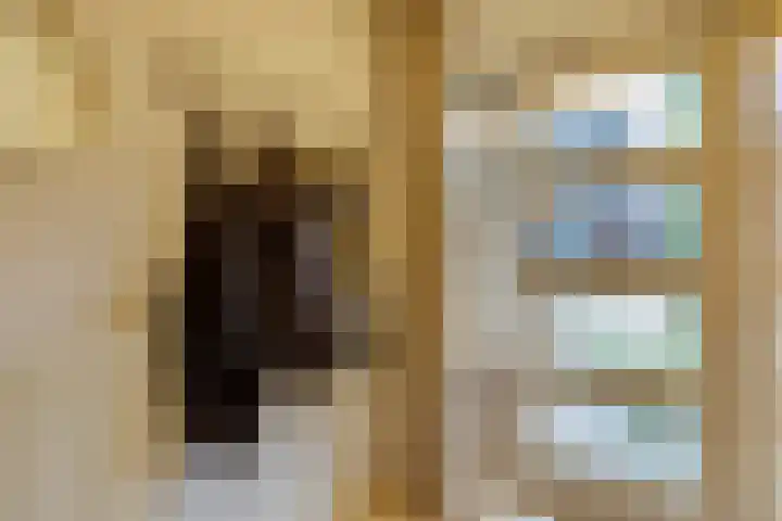 Weserlaan 56 Son en Breugel thumbnail 7