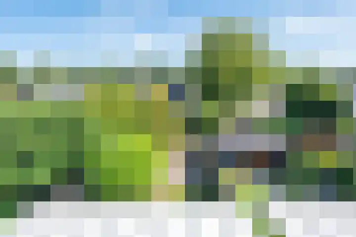 Weserlaan 58 Son en Breugel thumbnail 34