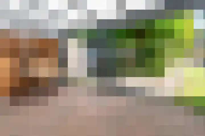 Weserlaan 58 Son en Breugel thumbnail 38
