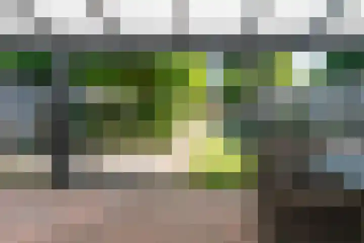 Weserlaan 58 Son en Breugel thumbnail 40