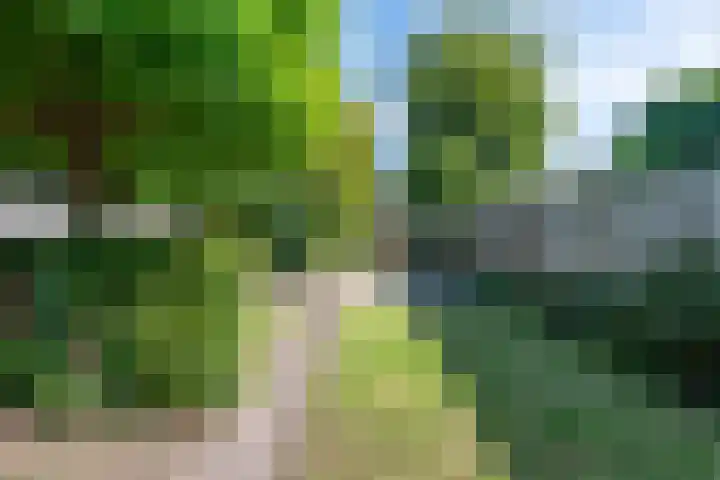 Weserlaan 58 Son en Breugel thumbnail 41