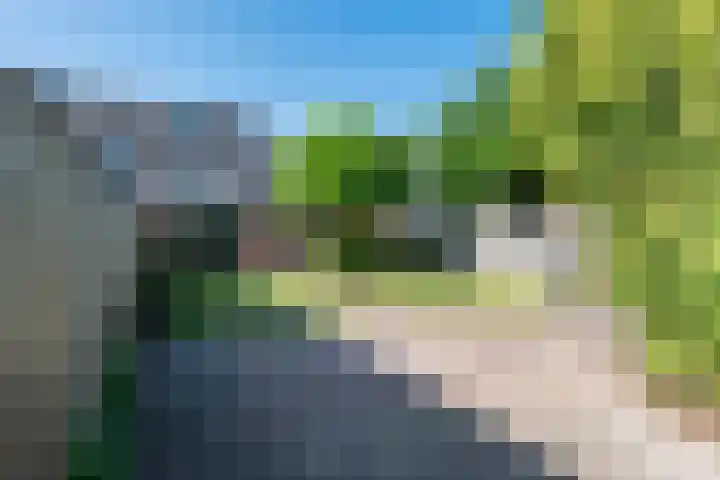 Weserlaan 58 Son en Breugel thumbnail 43
