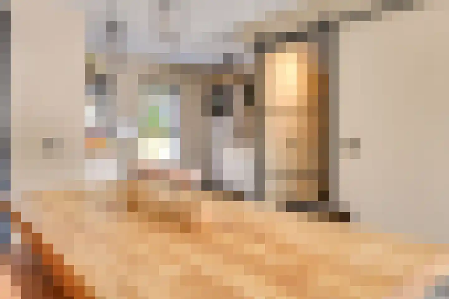 Weserlaan 9 Son en Breugel thumbnail 10