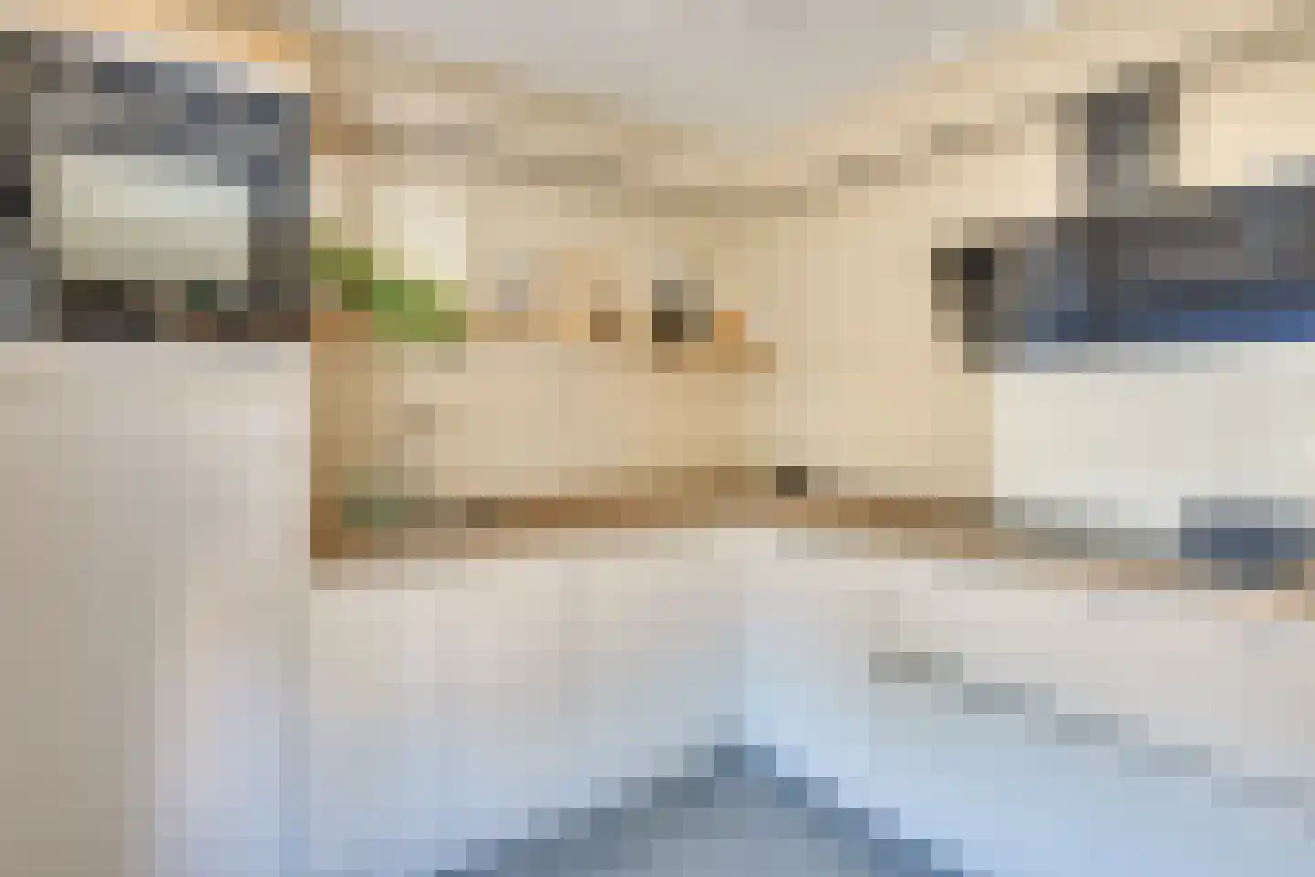 Weserlaan 9 Son en Breugel thumbnail 11