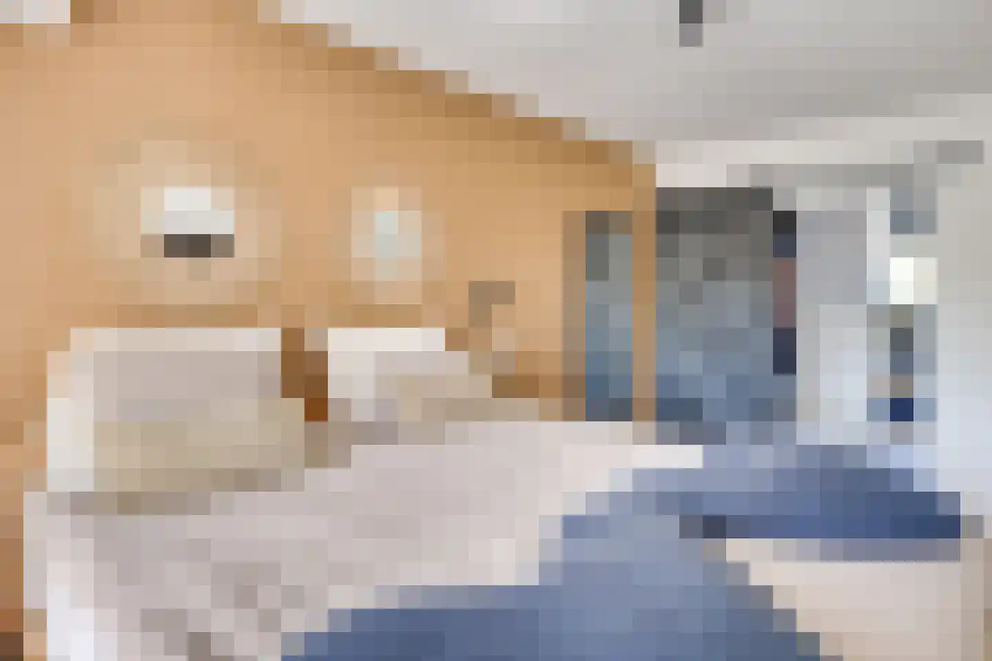 Weserlaan 9 Son en Breugel thumbnail 14