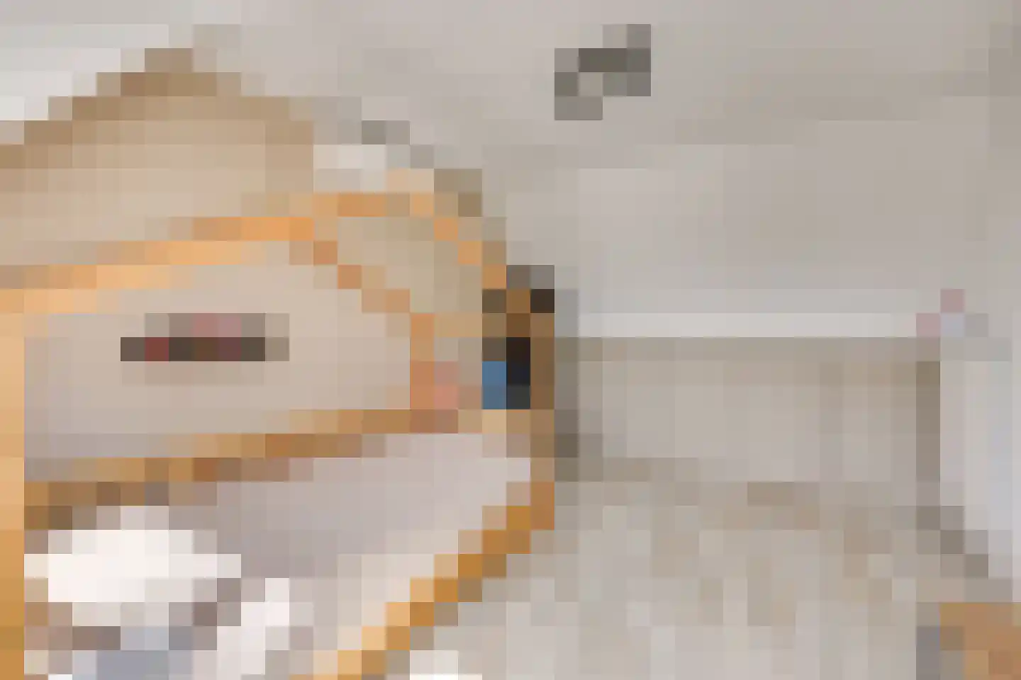 Weserlaan 9 Son en Breugel thumbnail 21