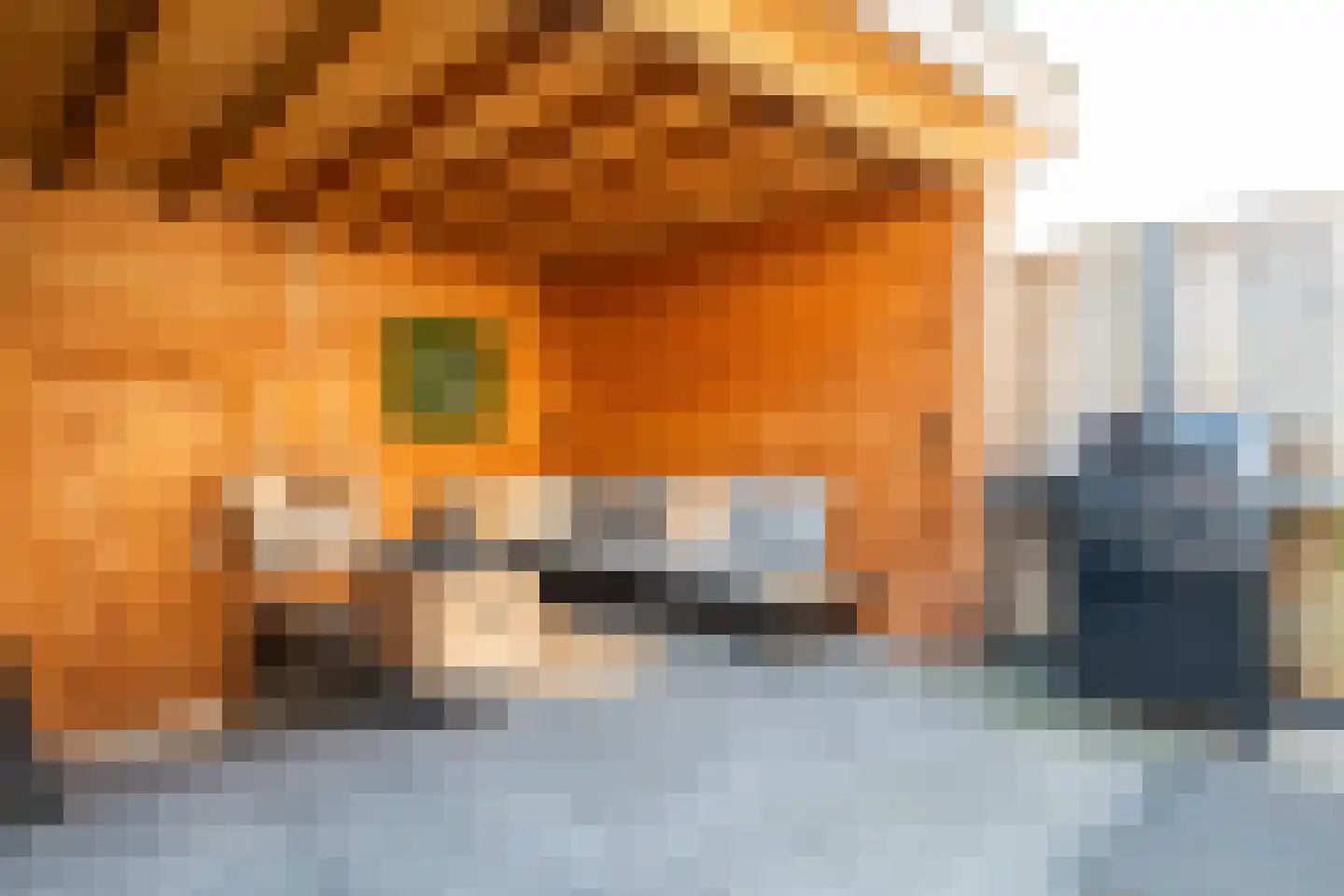 Weserlaan 9 Son en Breugel thumbnail 24