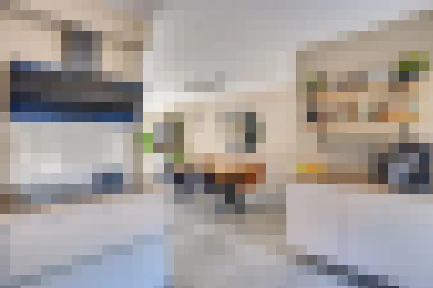 Weserlaan 9 Son en Breugel thumbnail 4