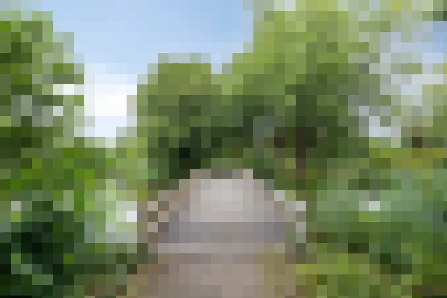Weserstraat 36 Assen thumbnail 36