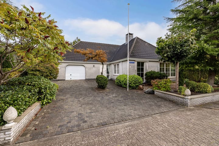 Wespendief 4 dans Tollebeek photo