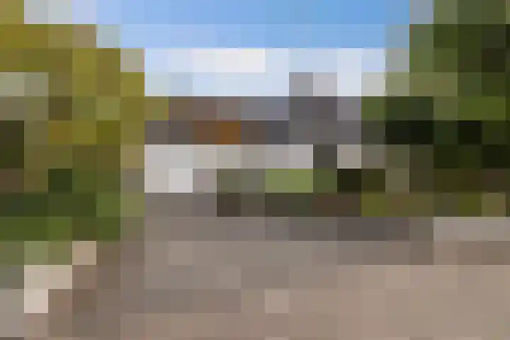 Wespendief 4 Tollebeek