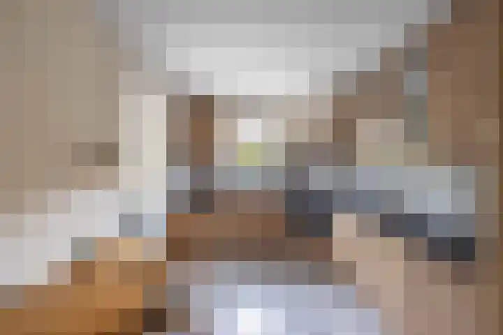 Wespendief 4 Tollebeek thumbnail 12